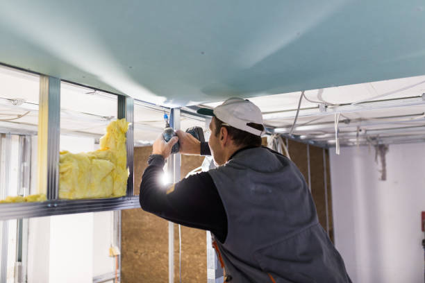 Best DIY Insulation Kits and Guidance in Salisbury, NY